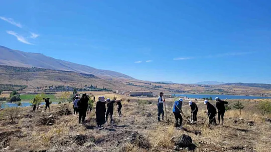 10 ilçede kent ormanları oluşturulacak