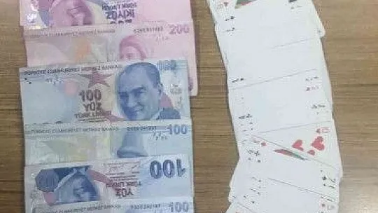 Kumar operasyonu, çok sayıda gözaltı var