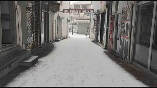 Depremde 4 hayvan telef oldu
