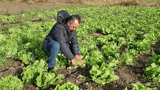 Kayseri'de ilk kez ekildi...