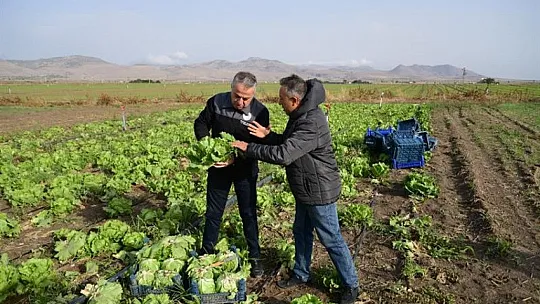 Kayseri'de ilk kez ekildi...