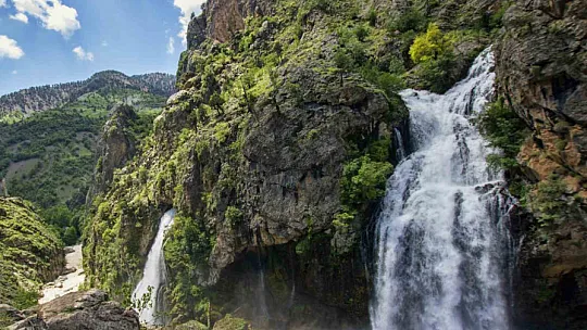 Nesli tükenmekte olan o tür Kayseri'de görüldü!