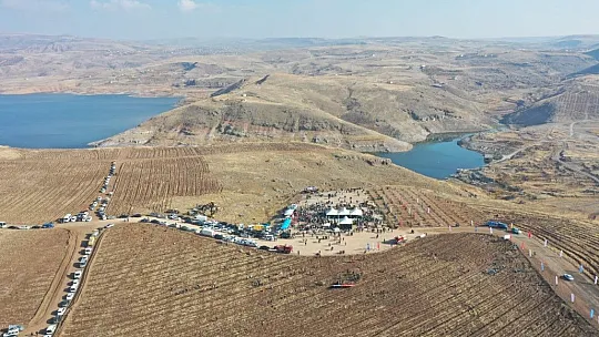Kuşçu'da, ağaç dikme etkinliği...