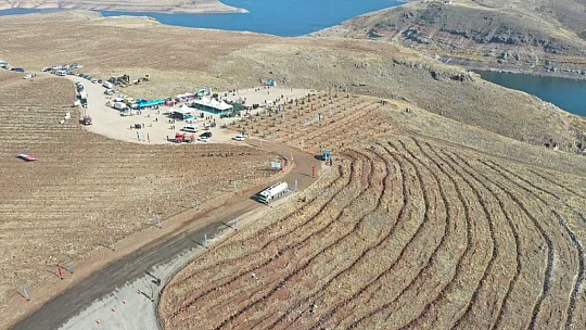 Kuşçu'da, ağaç dikme etkinliği...