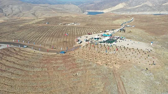Kuşçu'da, ağaç dikme etkinliği...