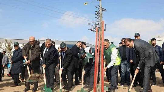 Seyrani Kampüsünde Ağaçlandırma Çalışması