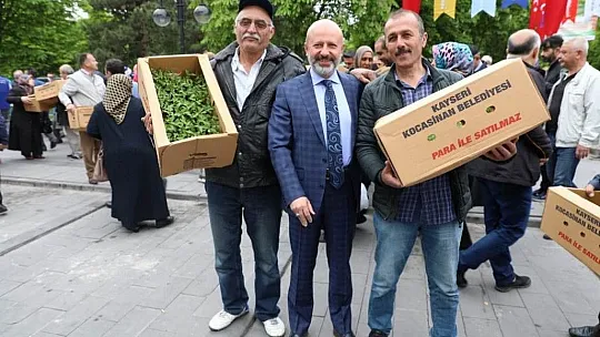Kocasinan Belediyesi domates fidesi alacak