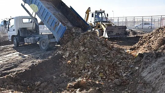 Kuru yapraklar gübreye dönüştürüyor!