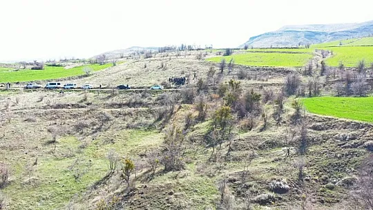 Kocasinan'da yabani alıç operasyonu!