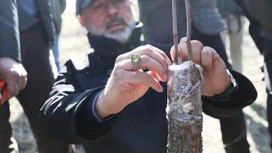 Kocasinan'da yabani alıç operasyonu!