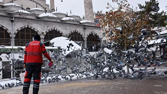 Kocasinan, sokak hayvanlarını unutmadı