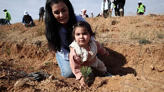 Başkan Gülsoy: Ağaç dalıyla gürler...