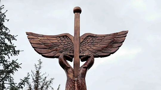 Ölü ağaçlar ölümsüzleşti