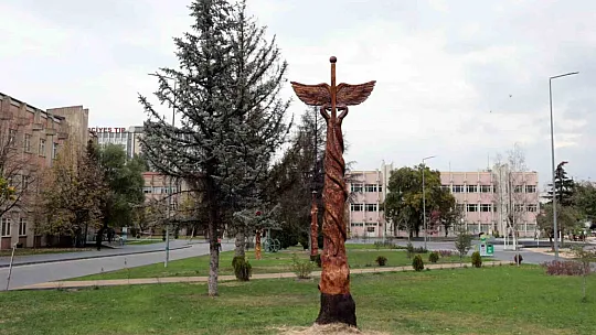 Ölü ağaçlar ölümsüzleşti