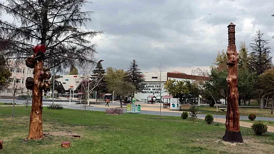 Ölü ağaçlar ölümsüzleşti