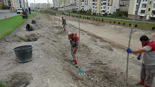 Melikgazi'de fidan dikme mesaisi...