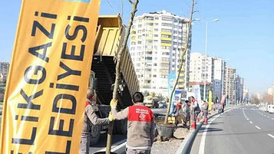 Melikgazi'de yeşillendirme çalışması!