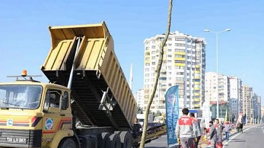 Melikgazi'de yeşillendirme çalışması!
