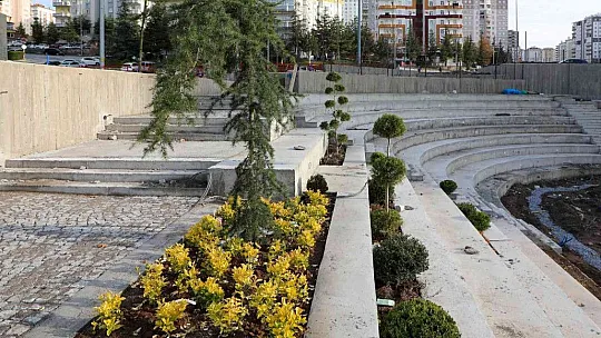 Mevlana Meydanı Ağaçlandırılıyor