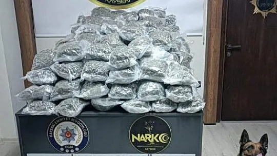 Narkotik polisi uyuşturucuya geçit vermiyor