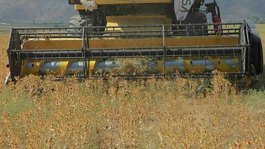 Okuldaki bilginin tarlada hasadı yapıldı