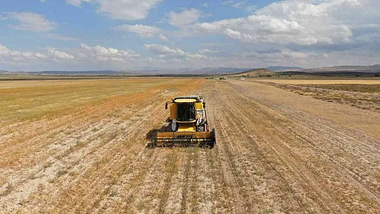 Okuldaki bilginin tarlada hasadı yapıldı
