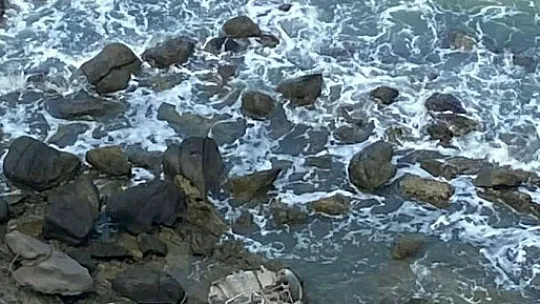 Otomobil uçuruma yuvarlandı, kaymakam koruması hayatını kaybetti