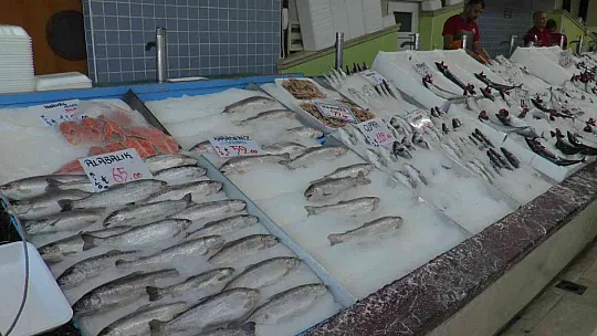 Balıkçı esnafı: Palamut fırtınası yaşanıyor...