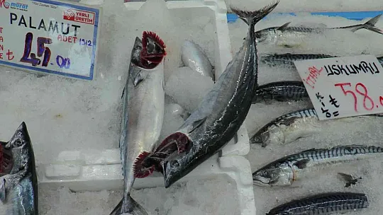 Balıkçı esnafı: Palamut fırtınası yaşanıyor...