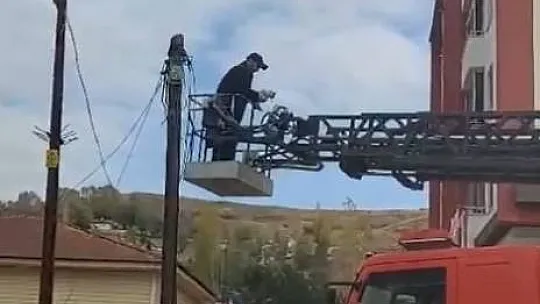 Sivas'ta İtfaiye ekipleri, yaramaz kedi için seferber oldu