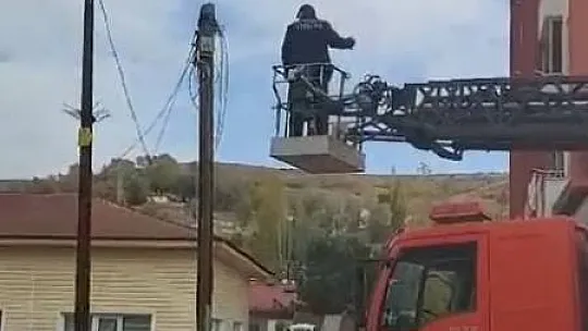 Sivas'ta İtfaiye ekipleri, yaramaz kedi için seferber oldu