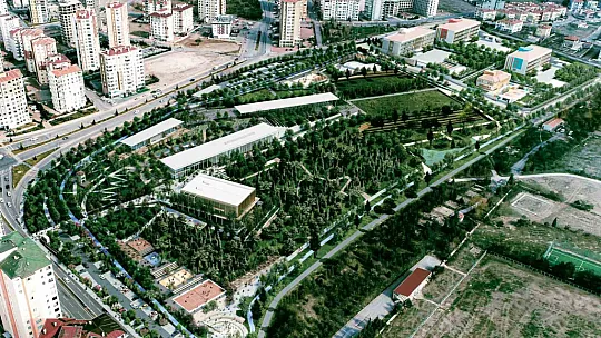 Talas Millet Bahçesi'nde görsel şölen