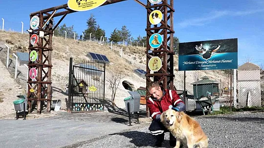 Talas'ta Can Dostlara Özel Hizmet
