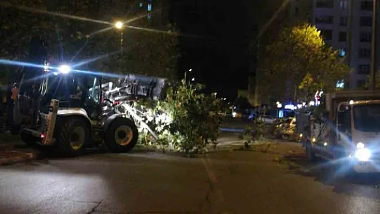 Bu görüntüler Talas'ta ortaya çıktı