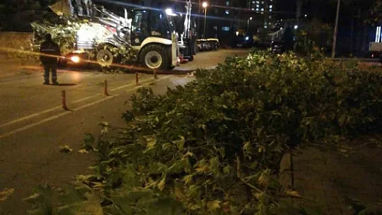 Bu görüntüler Talas'ta ortaya çıktı