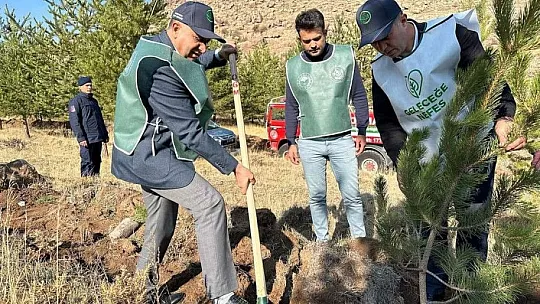Tomarza'da bin 500 fidan toprakla buluştu