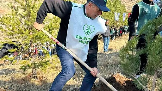 Tomarza'da bin 500 fidan toprakla buluştu