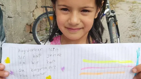 Hayvan dostları için el ele verdiler