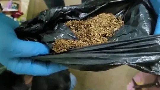 Uyuşturucu üretilen eve narkotikten baskın