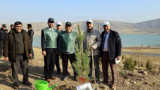 Yahyalı'da Fidanlar toprakla Buluştu