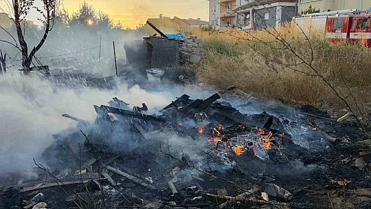Yangında 6 köpek telef oldu