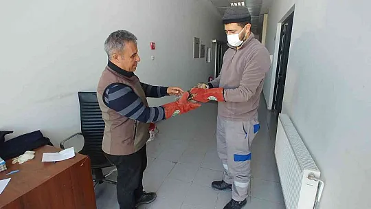 Yaralı baykuş tedavi altına alındı