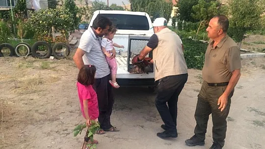 Yaralı Şahine Yardım Eli