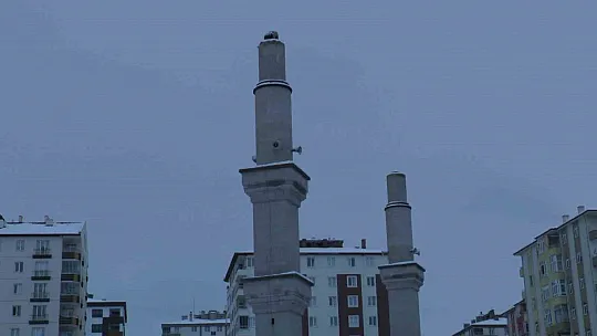 Son anda kurtuldular