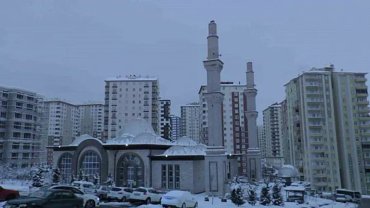 Son anda kurtuldular