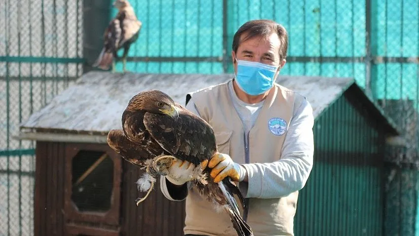 Hayvanat bahçesinde kış hazırlıkları başladı