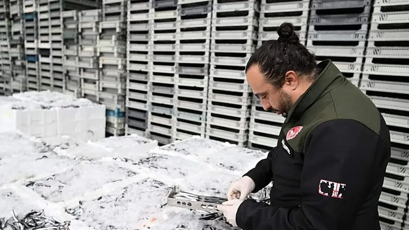 Kayseri'de 'balık' denetimi