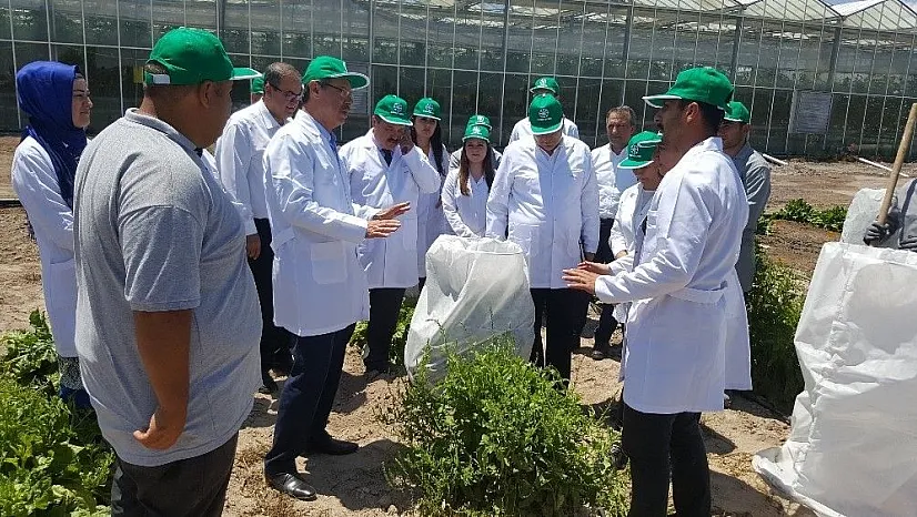 Kayseri Şeker, ar-ge tarım arazileri akademik katkı ile canlanıyor