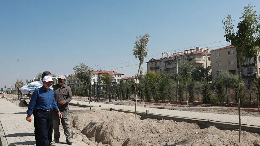 Kocasinan'dan 'Kedi Kasabası'