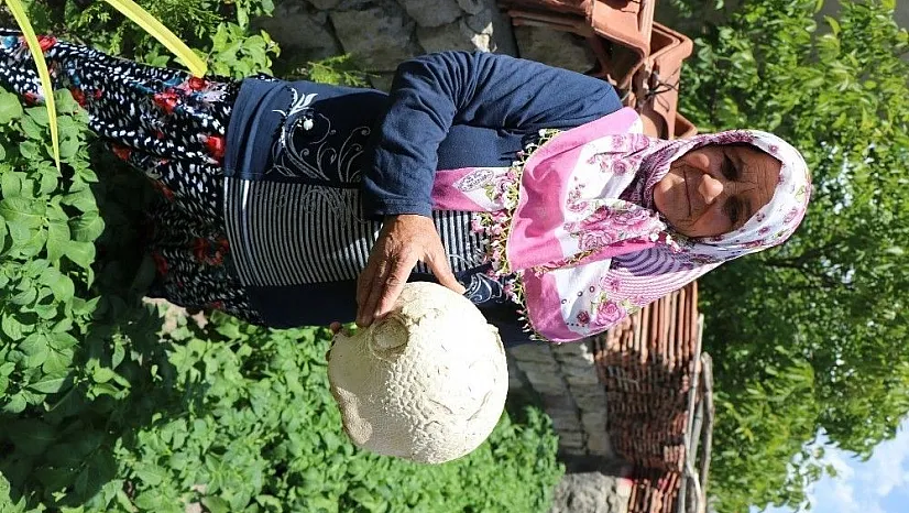 Mahallelileri şaşırtan mantar